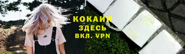 спайс Алзамай