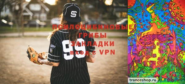прущие грибы Алексин