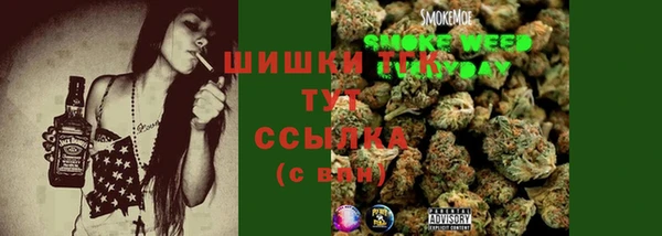 спайс Алзамай
