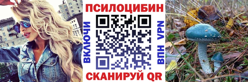 ОМГ ОМГ вход  наркошоп  Киселёвск  Галлюциногенные грибы мухоморы 