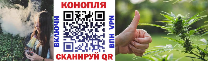 где продают Киселёвск Канабис MAZAR